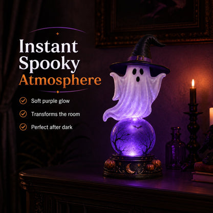 🎃Halloween Raven Crystal Ball Lighted Decor👻