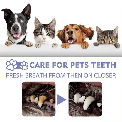 ⏰ Last day!!Buy 1 Get 1 Free🔥Pet Tooth Cleaning Spray
