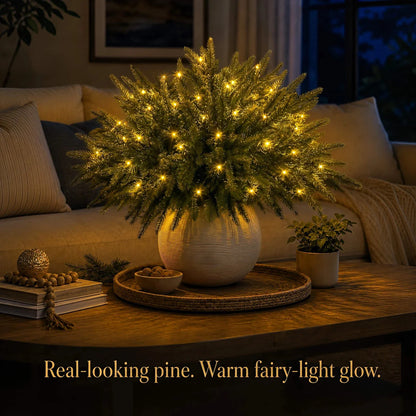 Christmas Enchanted Evergreen Pine– Set of 5