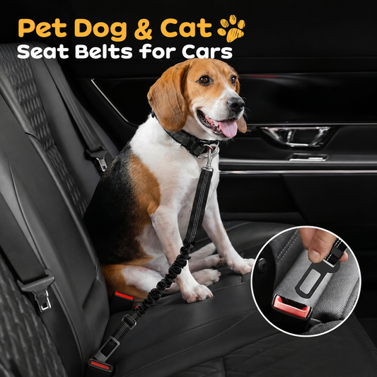 🐾 Sick of uncomfortable travel gear for your pup? This belt changes everything!