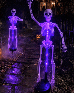 💀 Last Day 50% OFF – Solar Skull Garden Lights with Eerie Color-Changing Glow